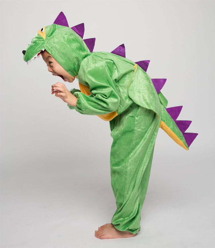 Party Dinosaur Costume for Boys