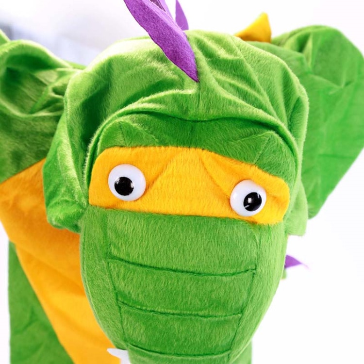 Party Dinosaur Costume for Boys