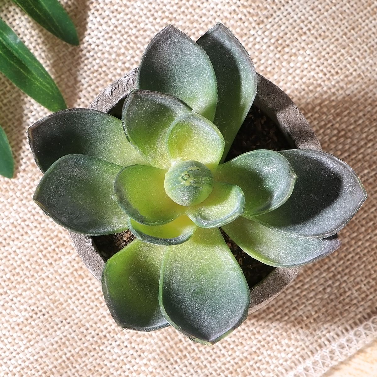 Decorative Artificial Succulent Plants With Pots