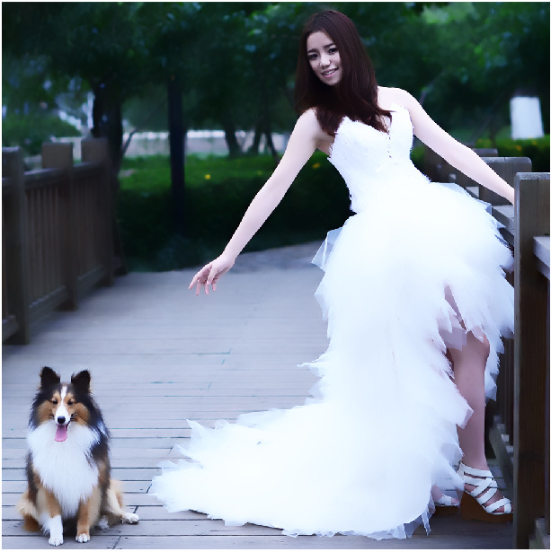 Feather Strapless Wedding Dress for Women