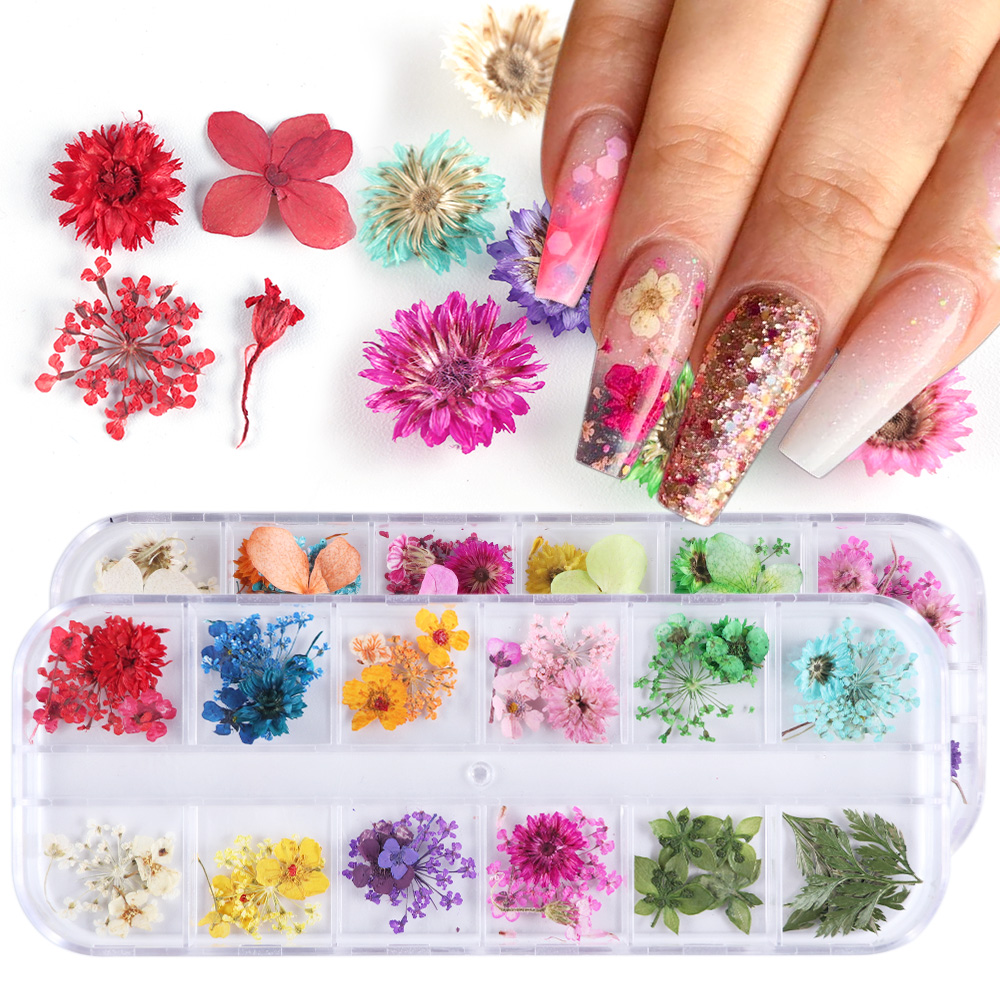 Natural Dried Flowers Decorations