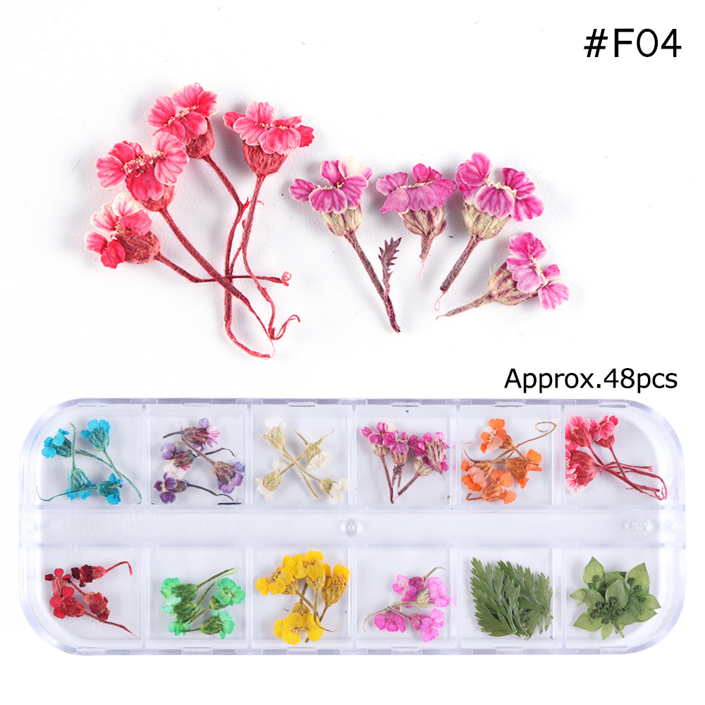 Natural Dried Flowers Decorations