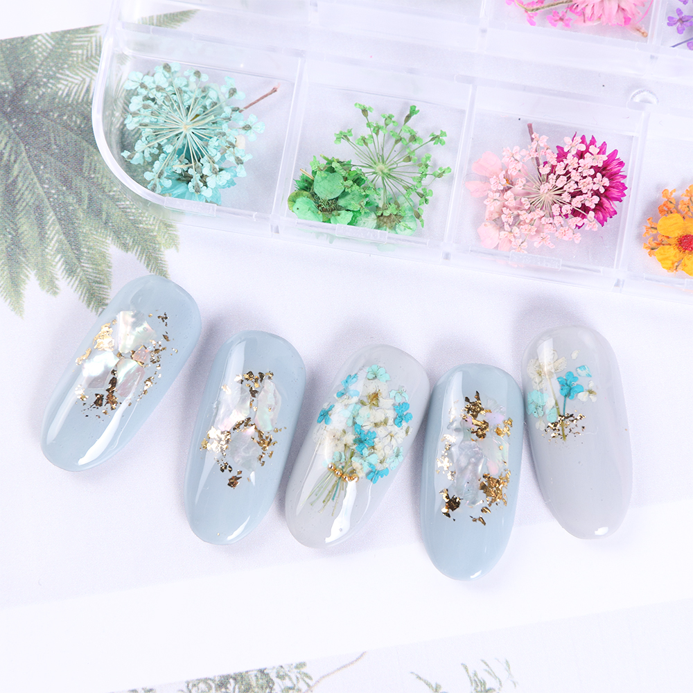 Natural Dried Flowers Decorations
