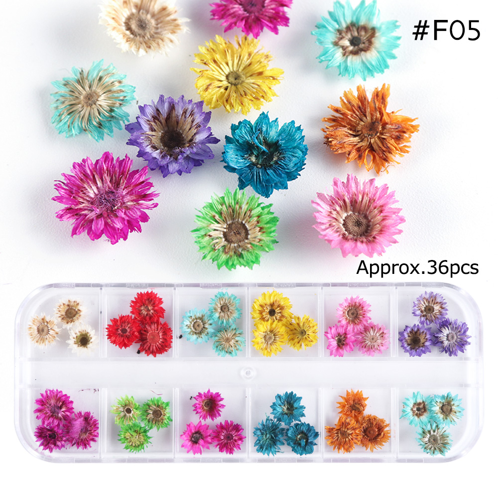Natural Dried Flowers Decorations