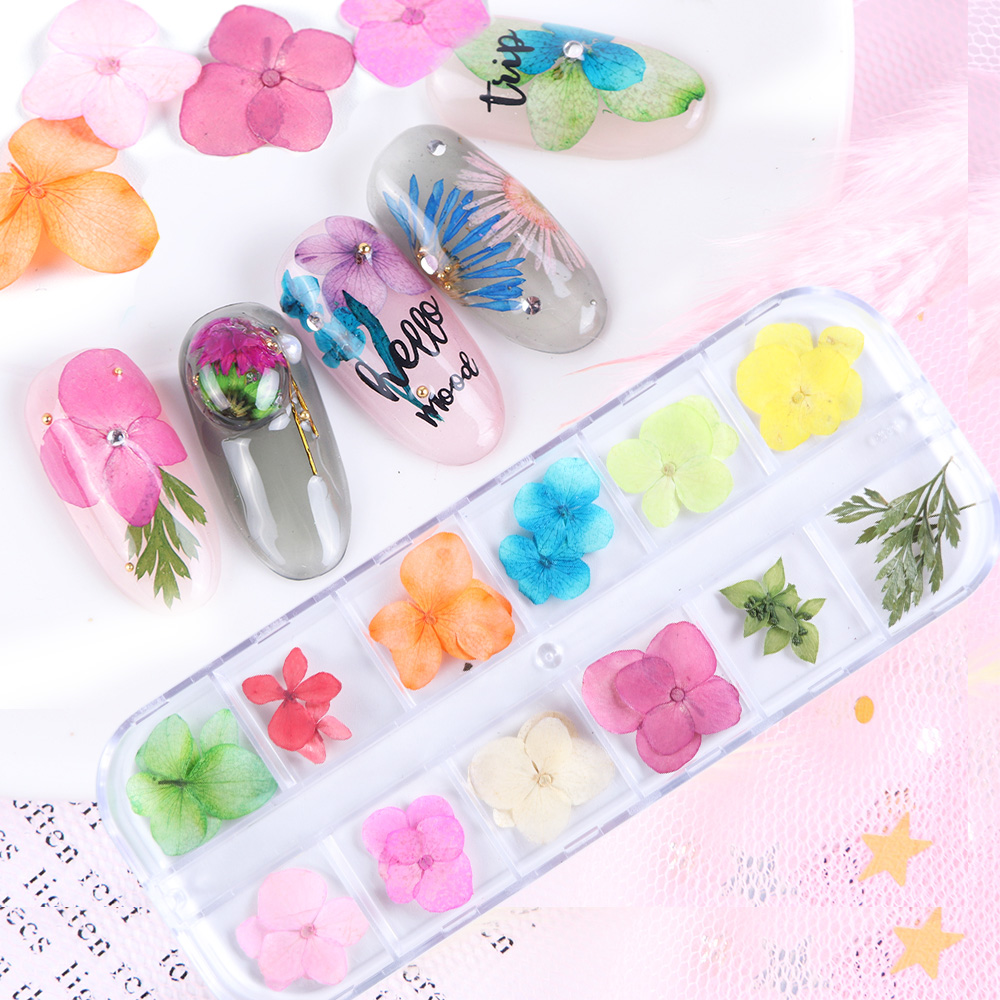 Natural Dried Flowers Decorations