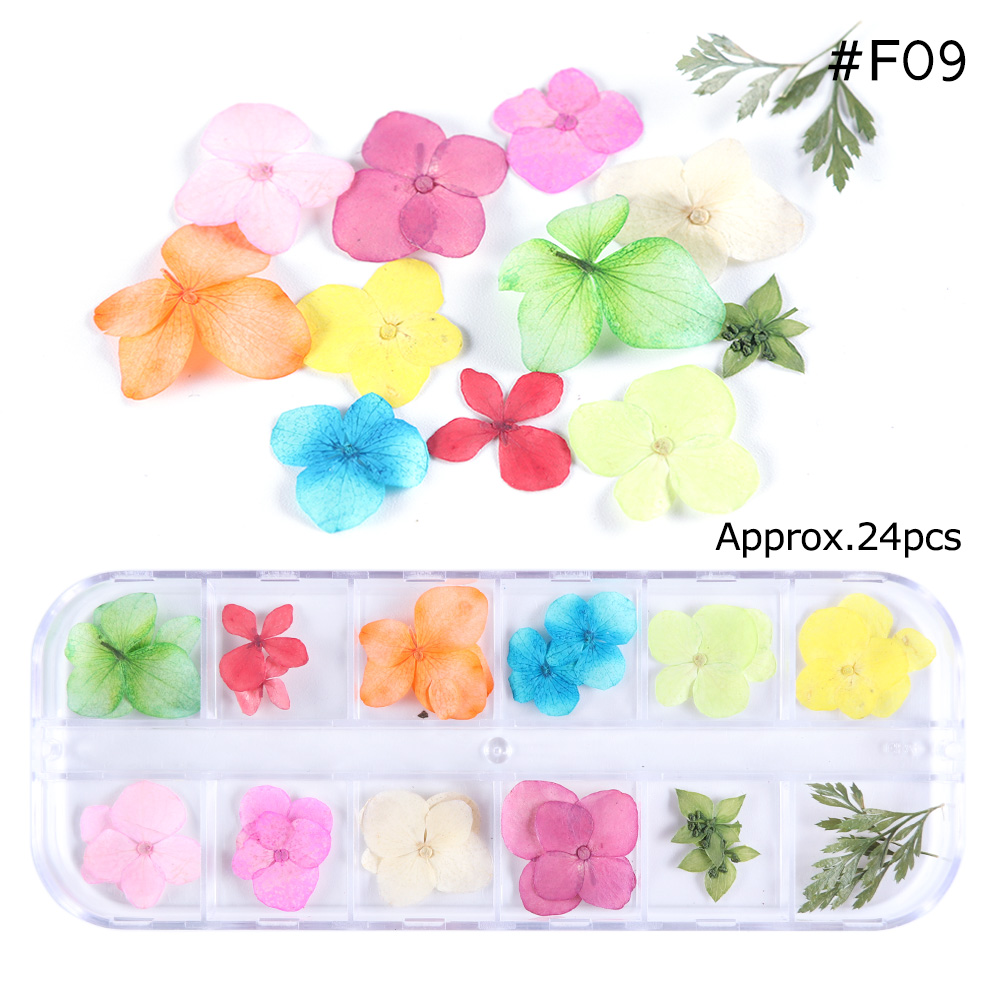 Natural Dried Flowers Decorations