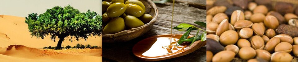 Moroccan Argan Oil Mask for Damaged Hair