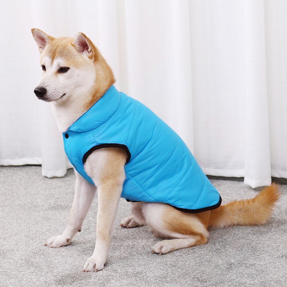 Stylish Winter Jacket for Dogs