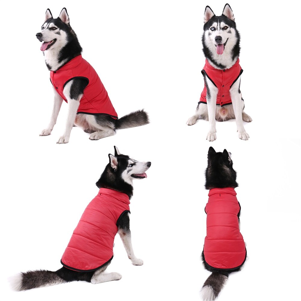 Stylish Winter Jacket for Dogs