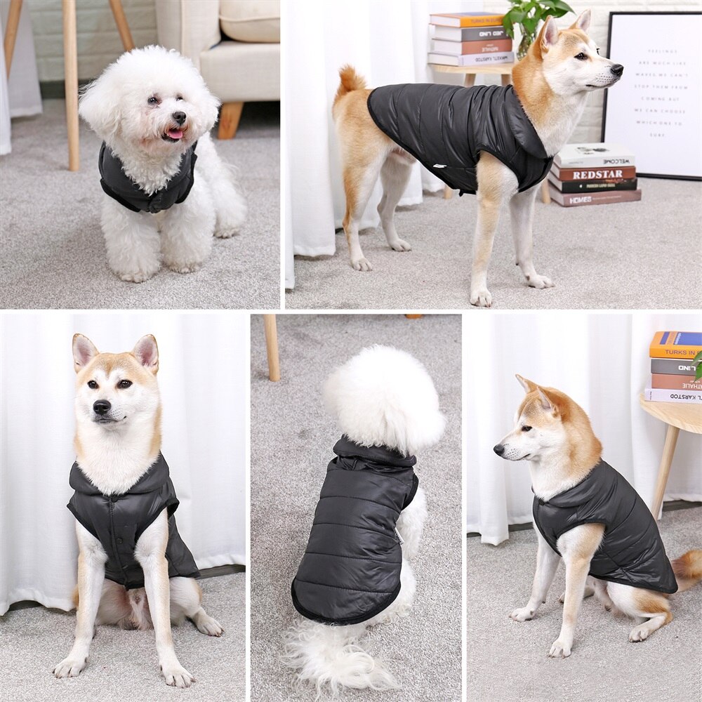 Stylish Winter Jacket for Dogs