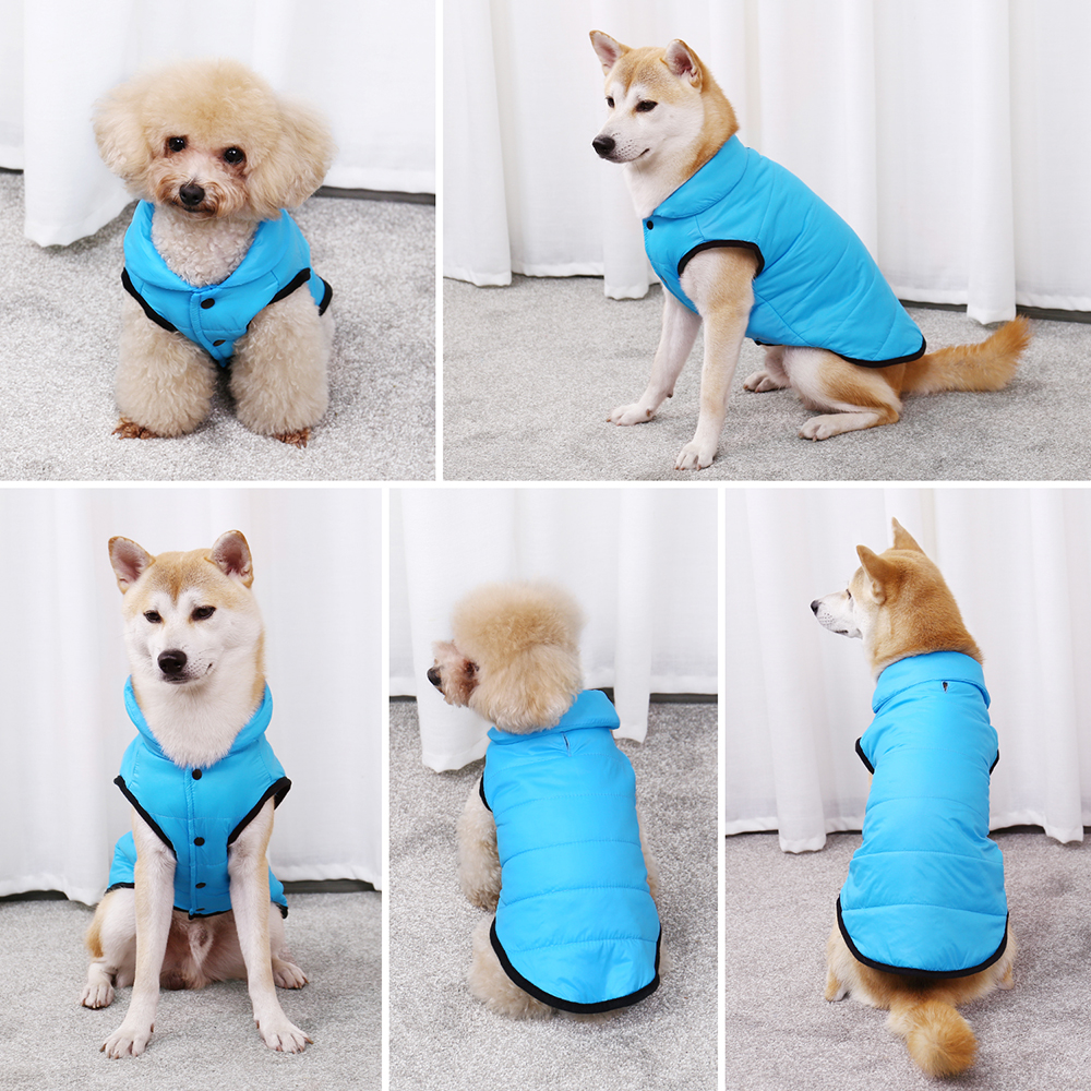 Stylish Winter Jacket for Dogs