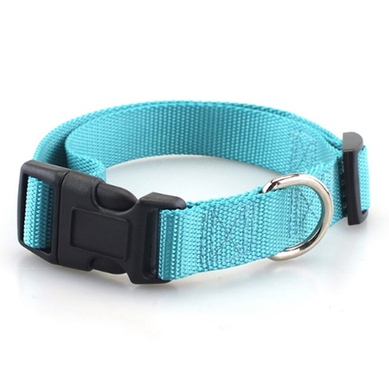 Simple Nylon Collar for Pets