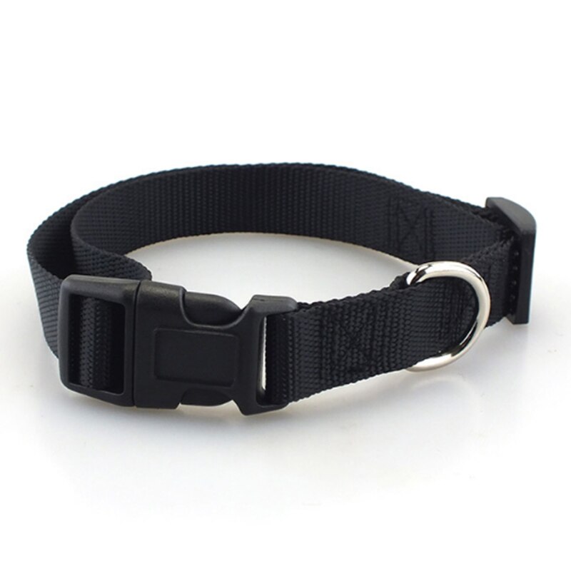 Simple Nylon Collar for Pets