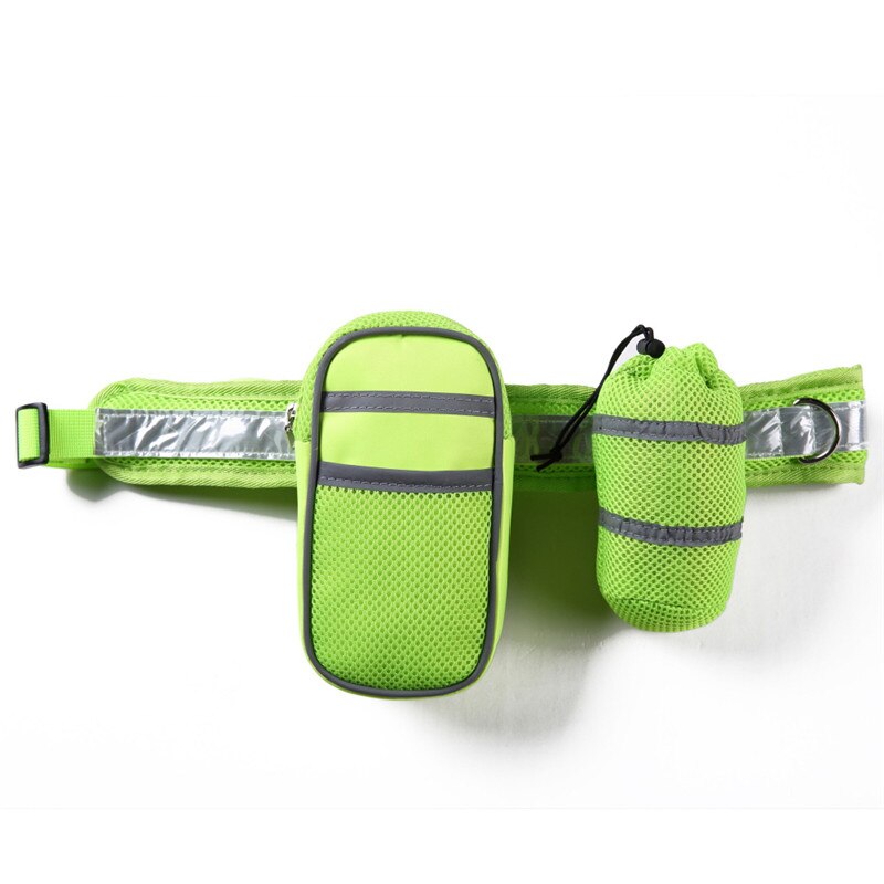 Dog's Reflective Detail Training Kit