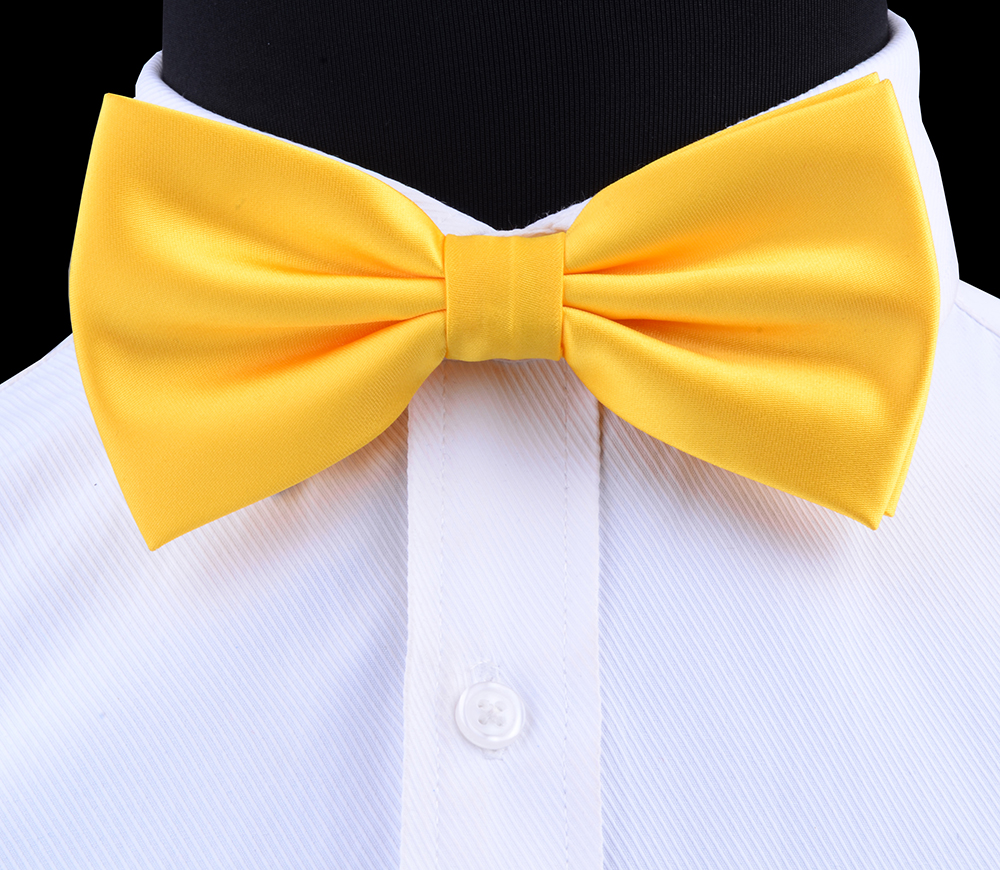 Men's Silk Bow Tie