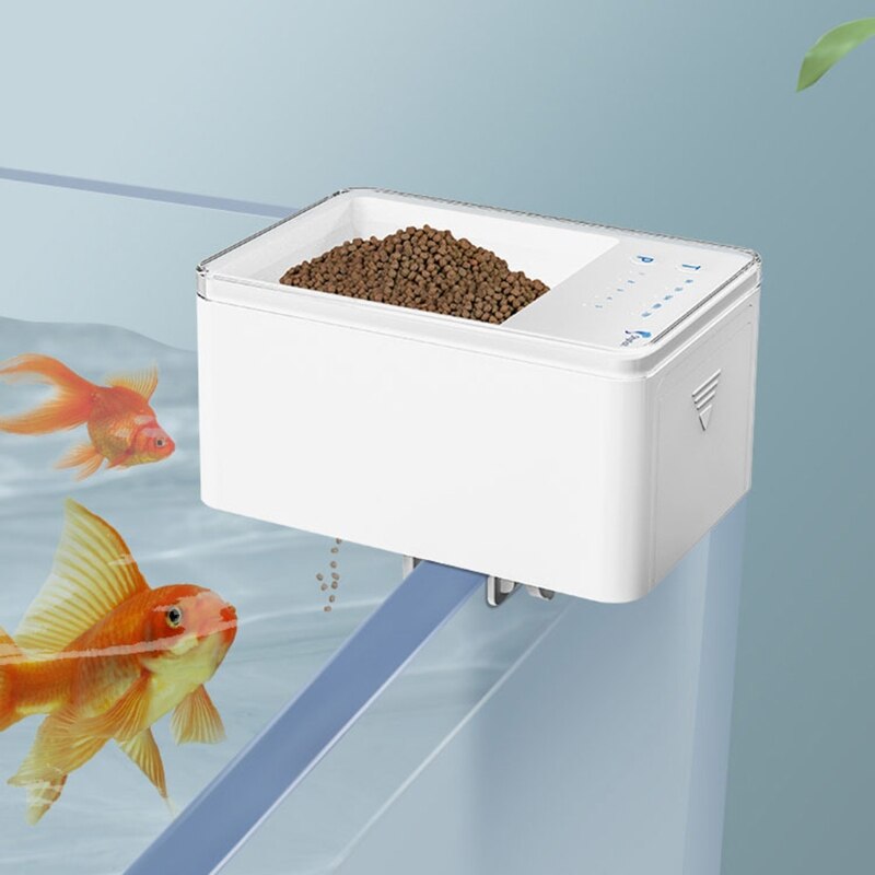 Intelligent Fish Feeder