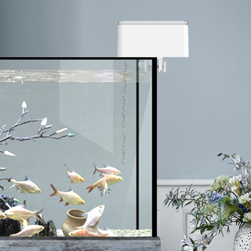 Intelligent Fish Feeder