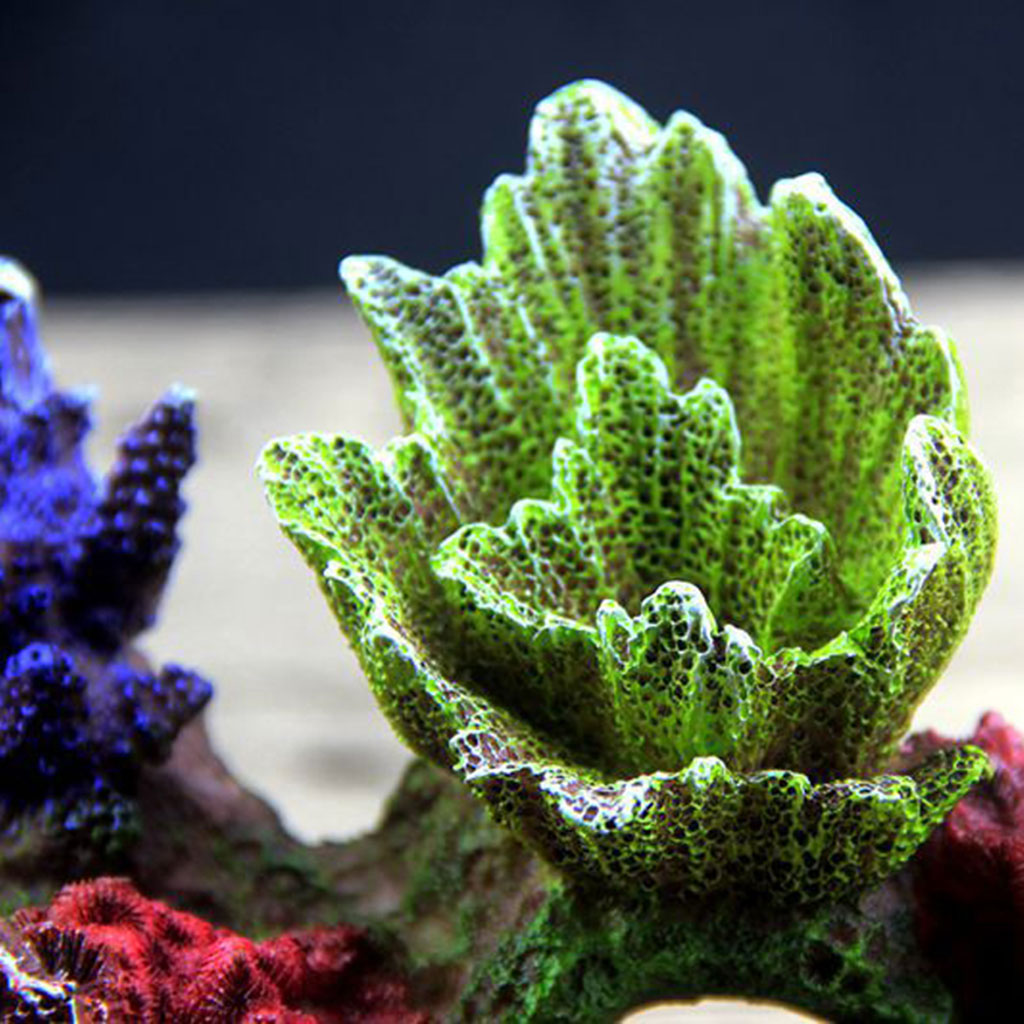 Living Reef Aquarium Decor