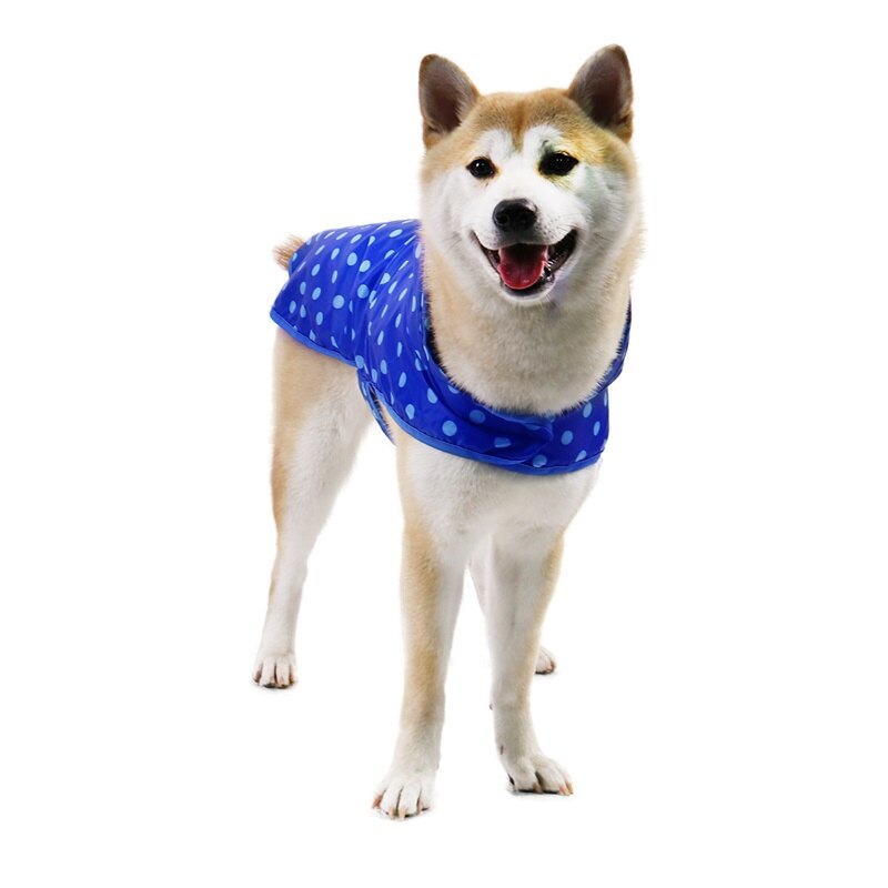 Reflective Polka Dot Printed Raincoat for Big Dog