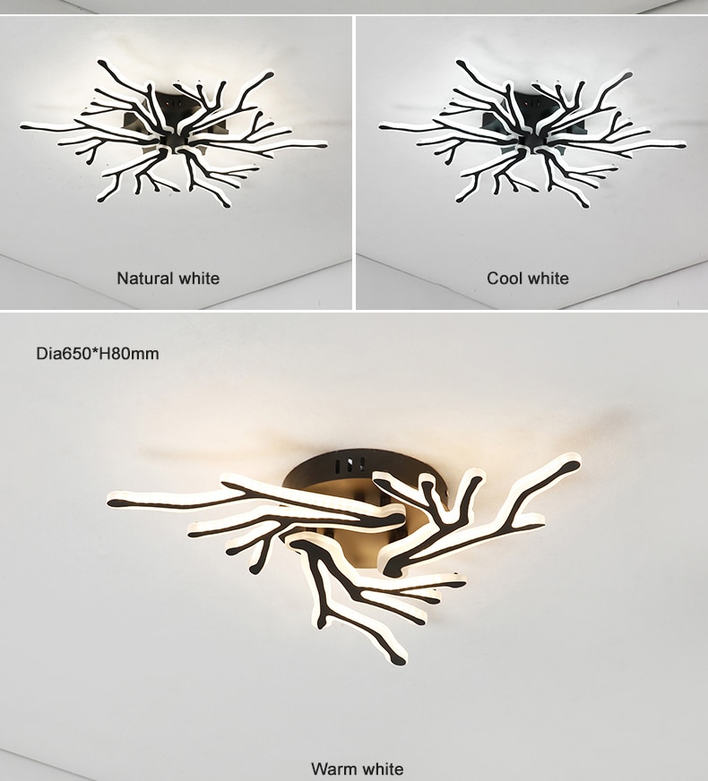 Creative Wedge Ceiling Light with Remote Control