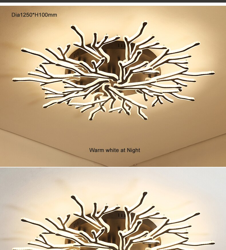 Creative Wedge Ceiling Light with Remote Control